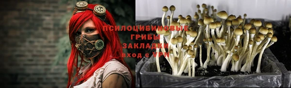 таблы Армянск