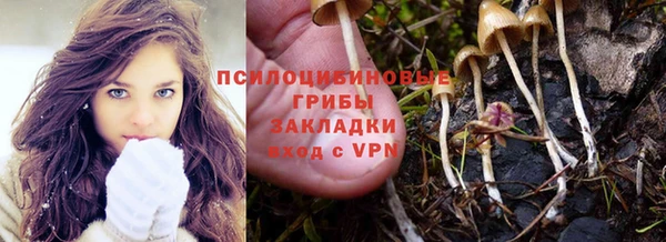 каннабис Арсеньев